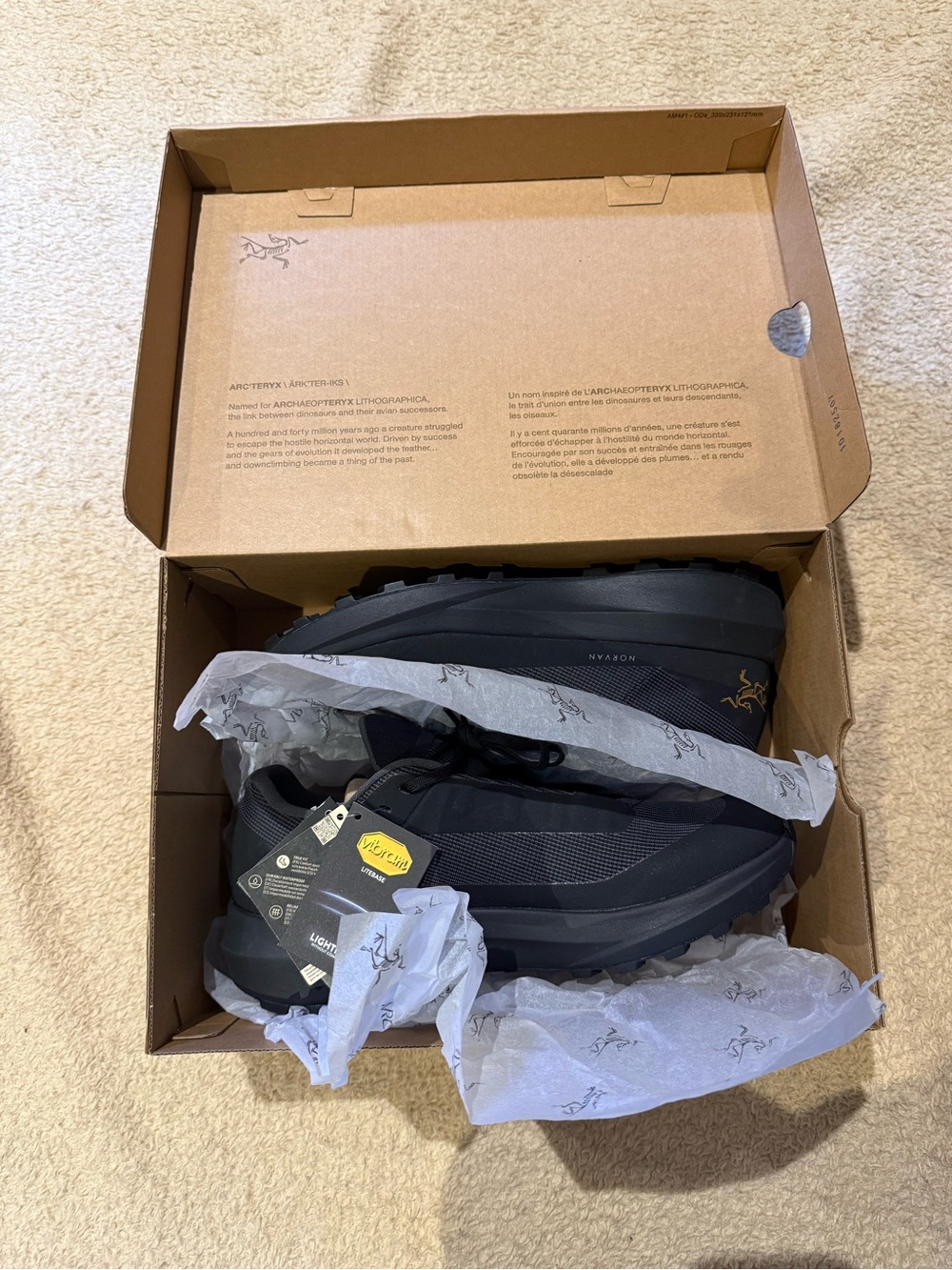 Arc'teryx Men's Norvan LD 4 GTX